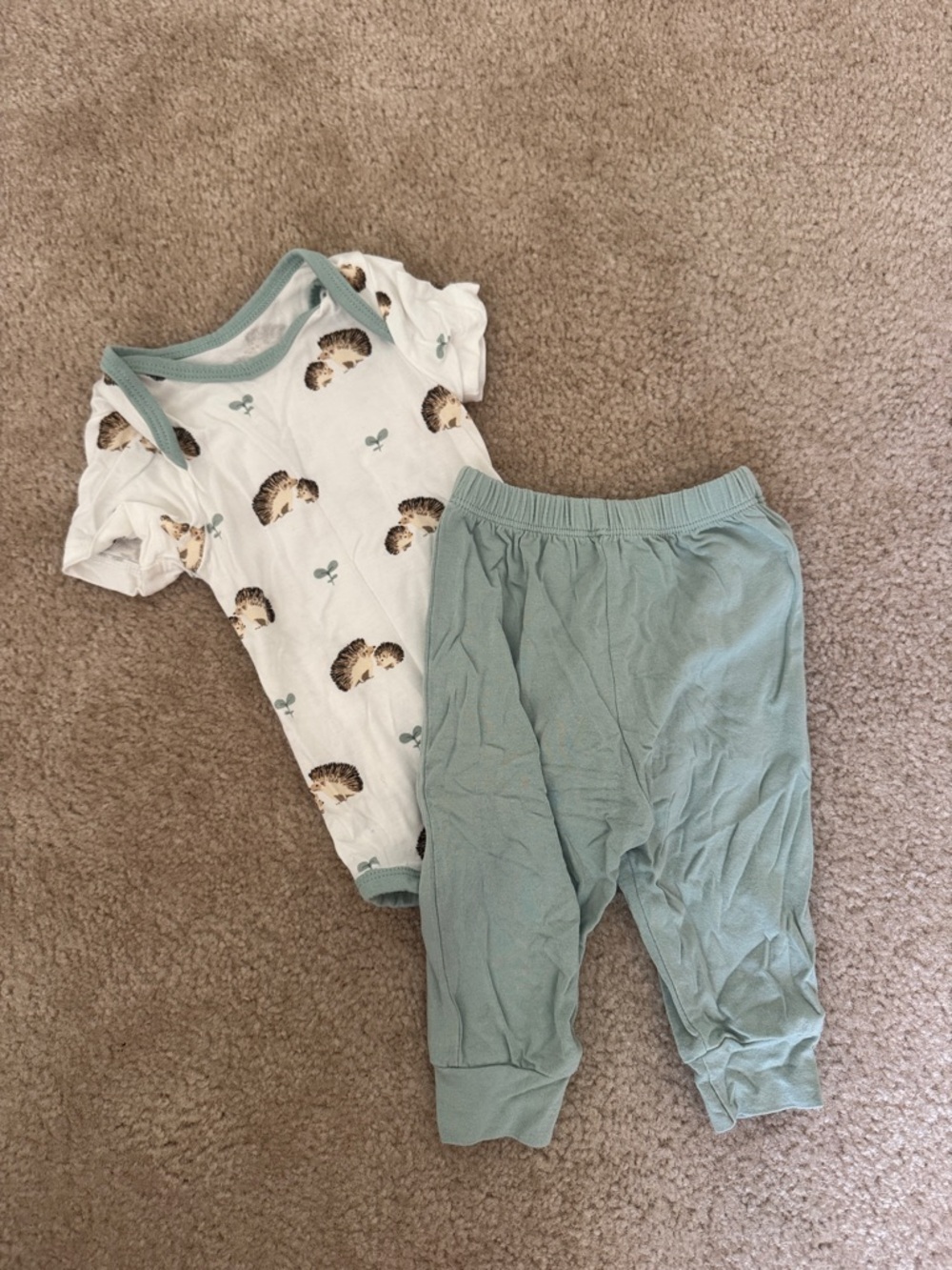 Baby Hedgehog Bodysuit & Sage Pants Set
